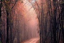 [CBA]琼斯持球单打 右手抛投打成并加罚.