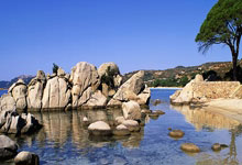 城墙永不倒！🖤💙祝“岩石”萨穆埃尔47岁生日快乐！.